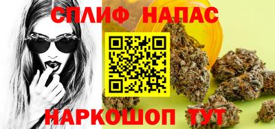 гидра Рязань