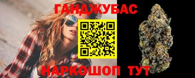гидра Рязань
