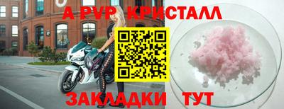 гидра Рязань