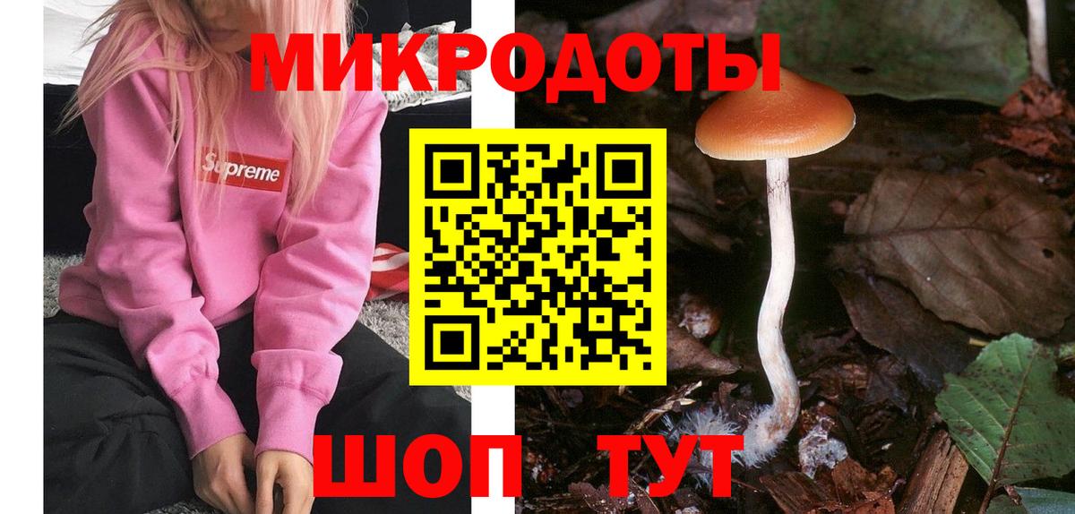 Электросталь  Галлюциногенные грибы мухоморы  Вход с VPN 